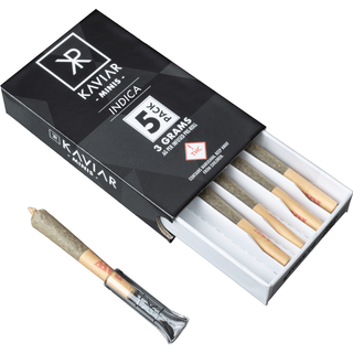 Animal Cookies x Tangie  Kaviar