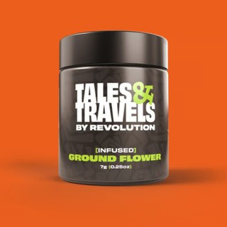 FD BX1 x FD BX1 Tales & Travels