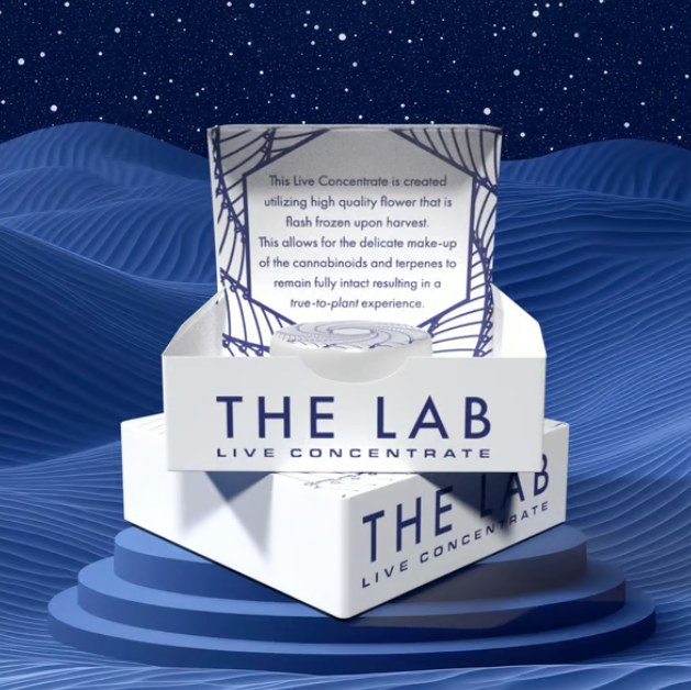 Sour Garlic Live The Lab Sour Garlic Live The Lab