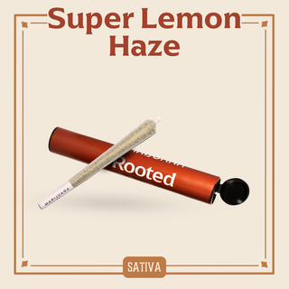 Super Lemon Haze Rooted