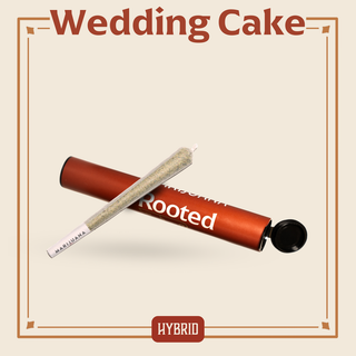 Wedding Cake Rooted