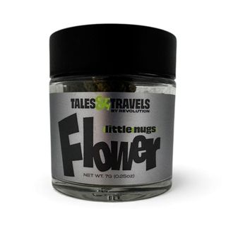 Indiana Bubblegum Tales & Travels