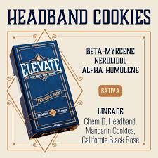 Pins Headband Cookies Elevate