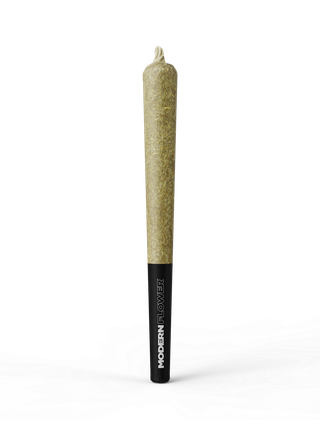 Cold Snap Modern Flower