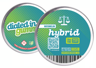 Classics Watermelon Dialed In