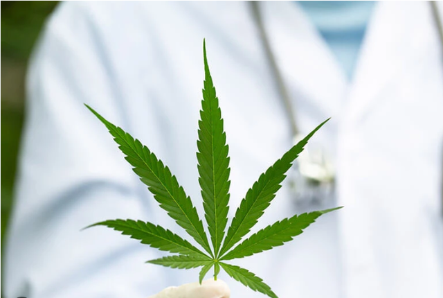 Cannabis Promo, Cannabis Sales, Cannabis Discounts, Cannabis on Sale, Demo Promo