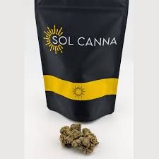 Sweetie Pie Sol Canna