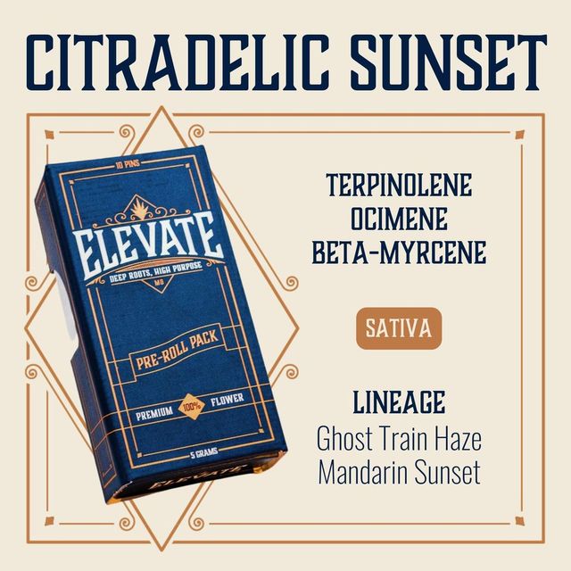 Citradelic Sunset Elevate