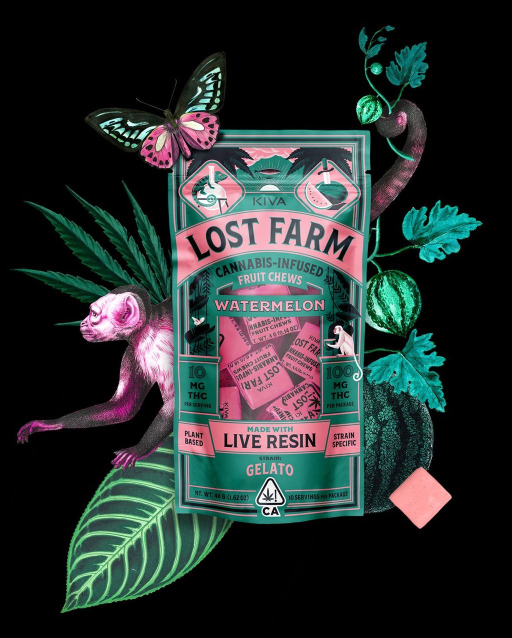 Lost Farm Watermelon Fruit Chew