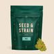 Seacrets Sunset Seed & Strain Seacrets Sunset Seed & Strain