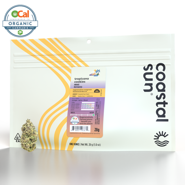 Tropicana Cookies Coastal Sun