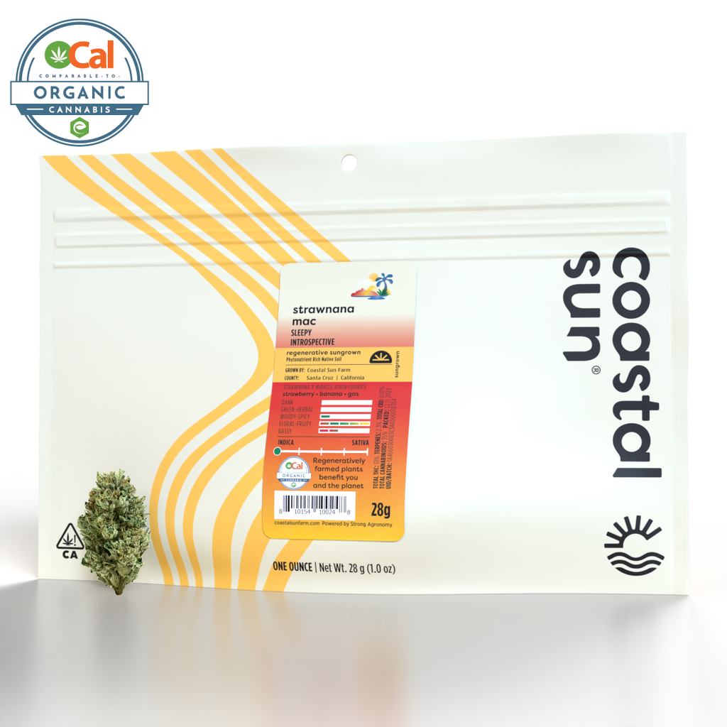 Coastal Sun: Strawnana MAC