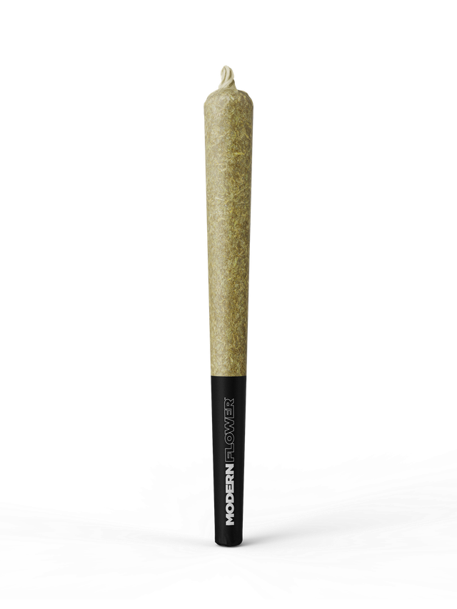 Marshmallow OG Modern Flower
