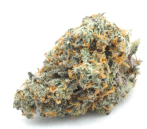 Guava 2.0 Connected Cannabis Co