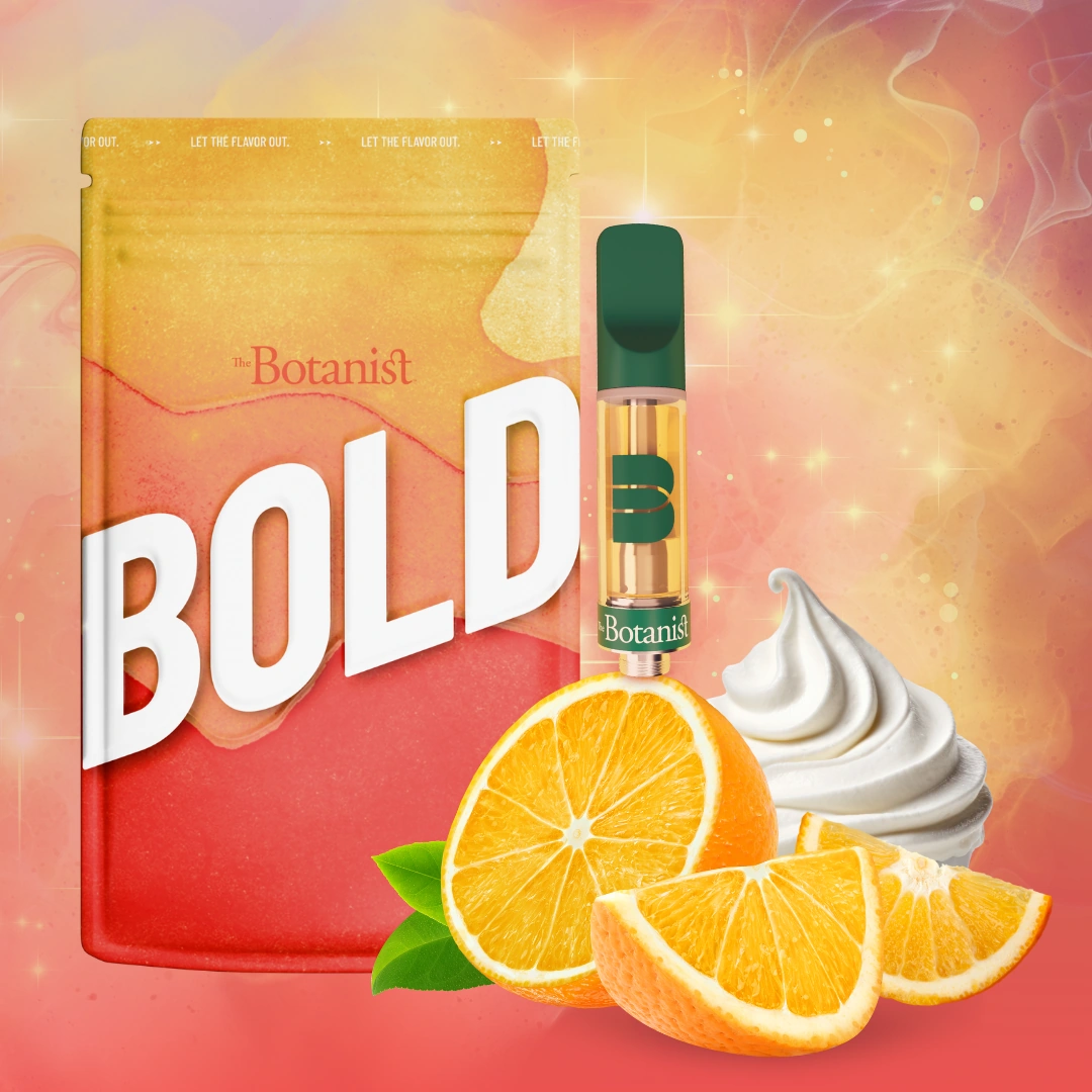 Orange Cream BOLD