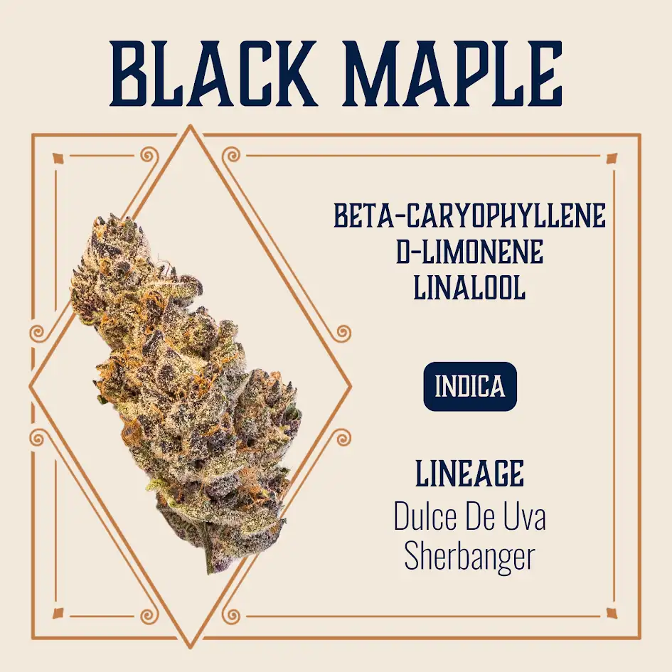 Black Maple Elevate