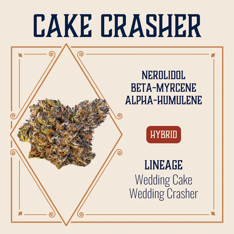 Cake Crasher Elevate