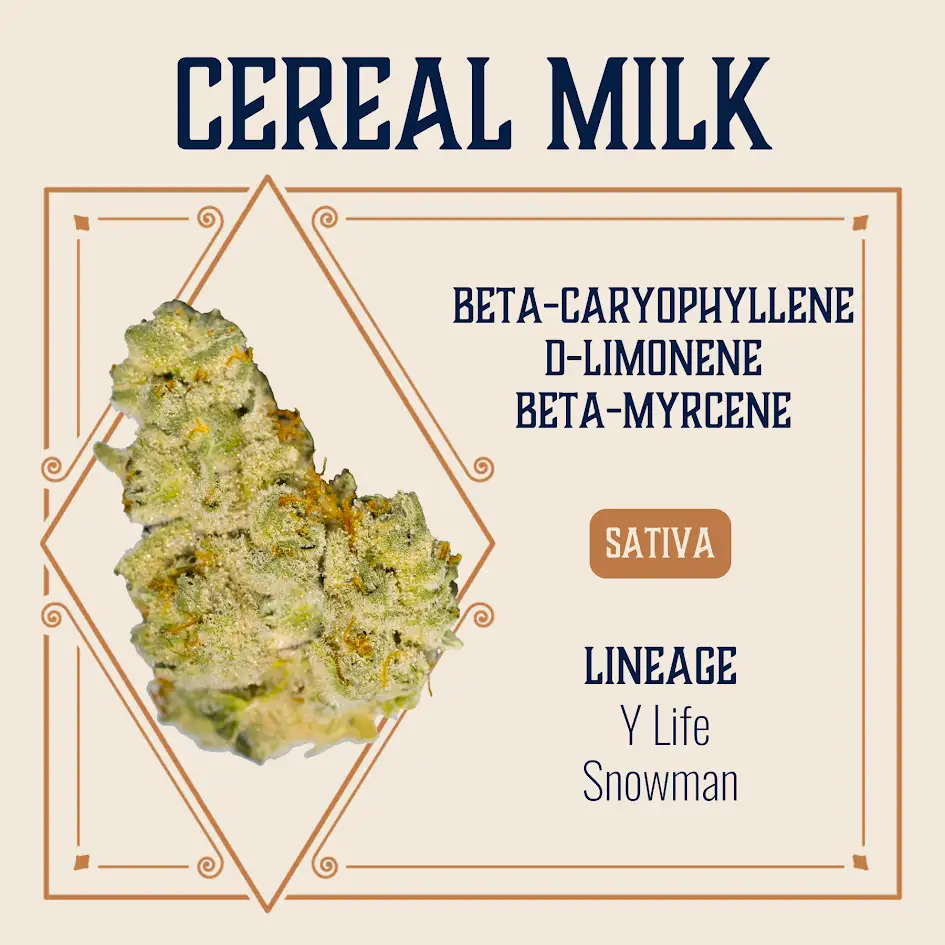 Cereal Milk Elevate