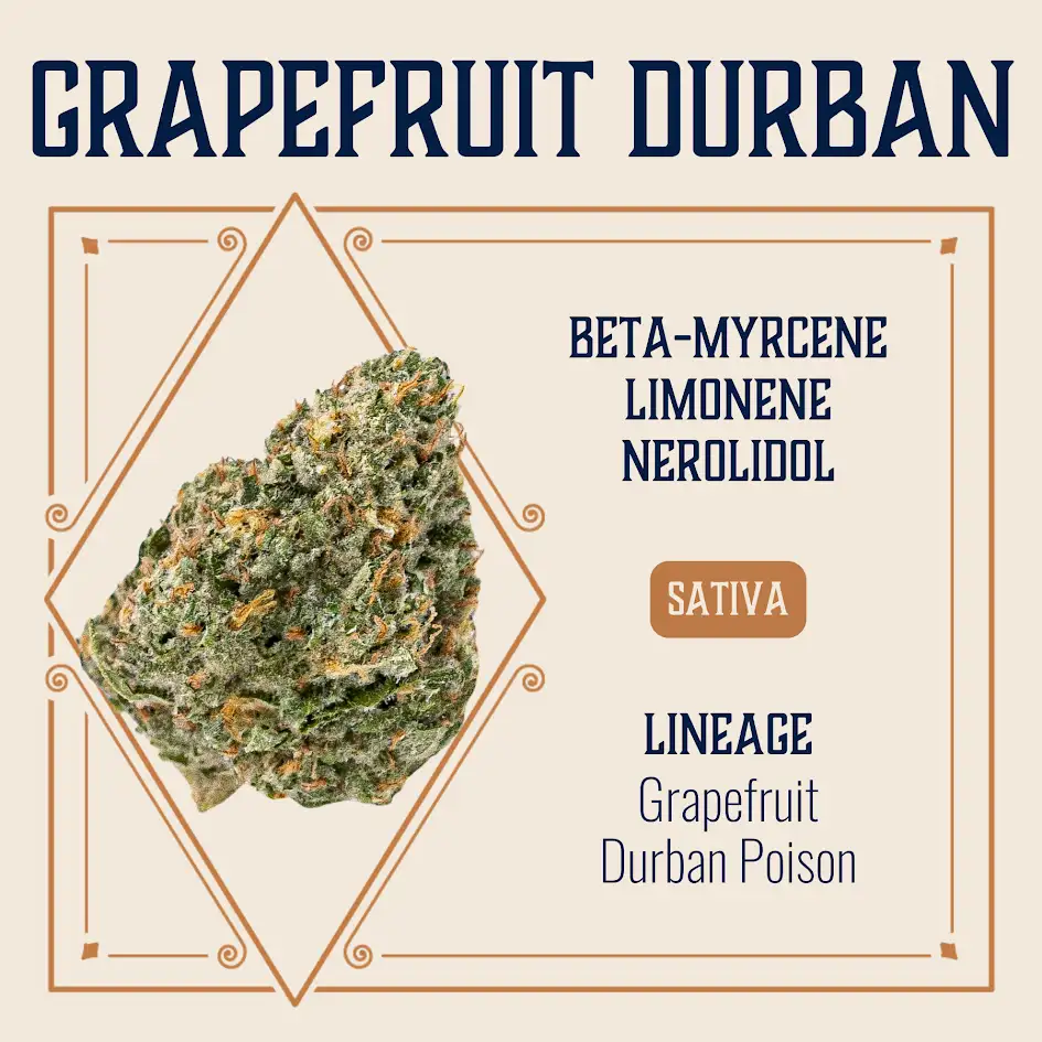 Elevate Grapefruit Durban Flower 3.5g