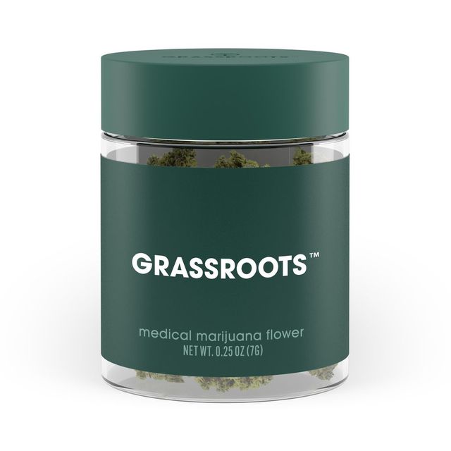Ocifer 4 (Jayna's Sunshine) Grassroots