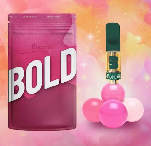 Bubblegum BOLD