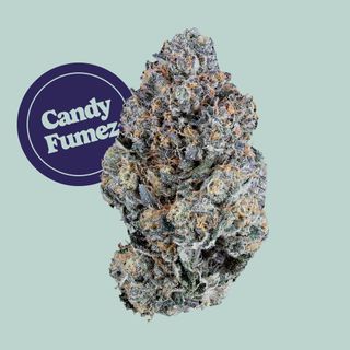 Candy Fumez Kind Tree