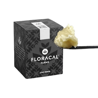 Gas Station Candy  FloraCal