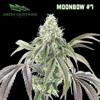 Moonbow | 7g Small Buds Green Lightning