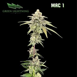 Mac 1 | 3.5G Flower Green Lightning