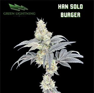 Han Solo Burger | 3.5g Flower Green Lightning