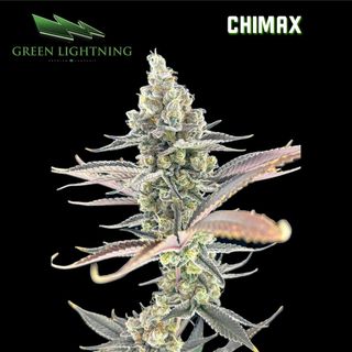 Chimax | 3.5g Whole Flower  Green Lightning