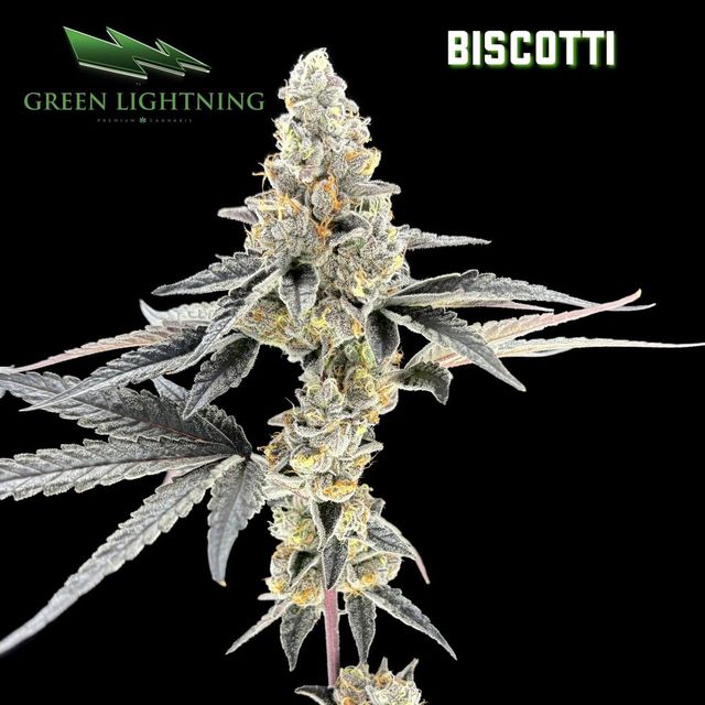 Biscotti | 3.5g Flower Green Lightning