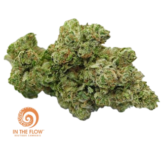 Lemon Skunk In The Flow