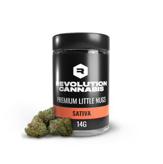 Samba Slapz Revolution