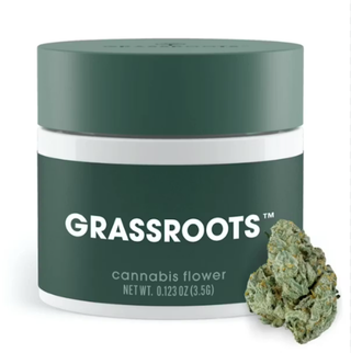Kush Mints Grassroots