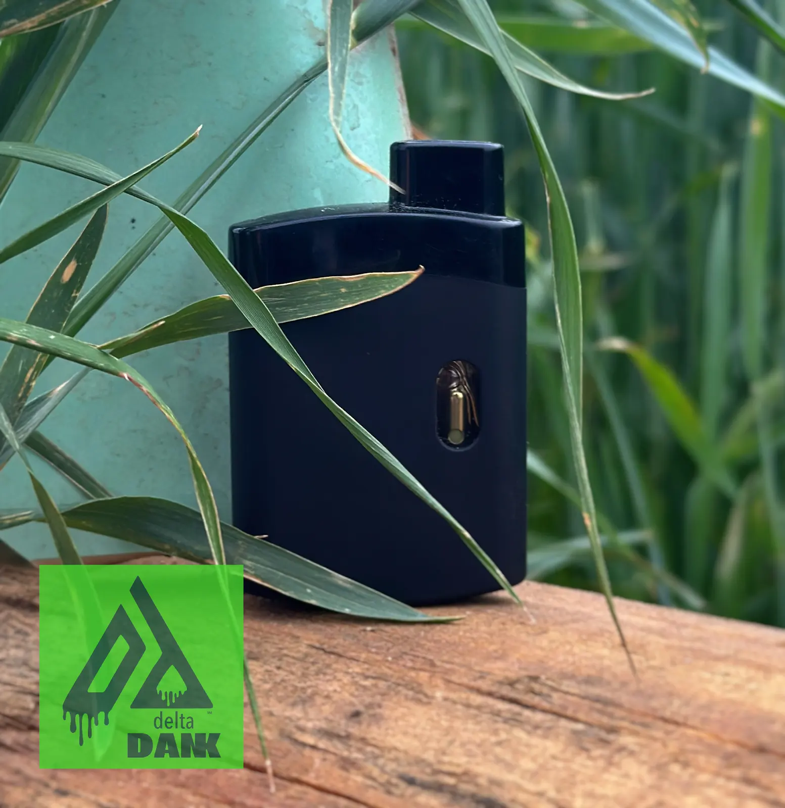 Citrus Haze Delta Dank