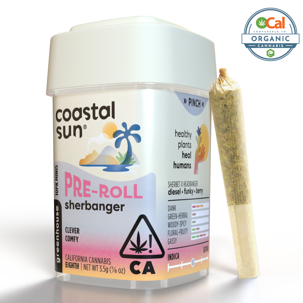 Coastal Sun: Sherbanger 10