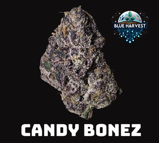Candy Bonez | 3.5G Flower Blue Harvest