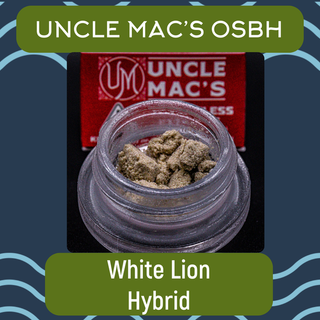 White Lion | Old School Bubble Hash Uncle Mac's