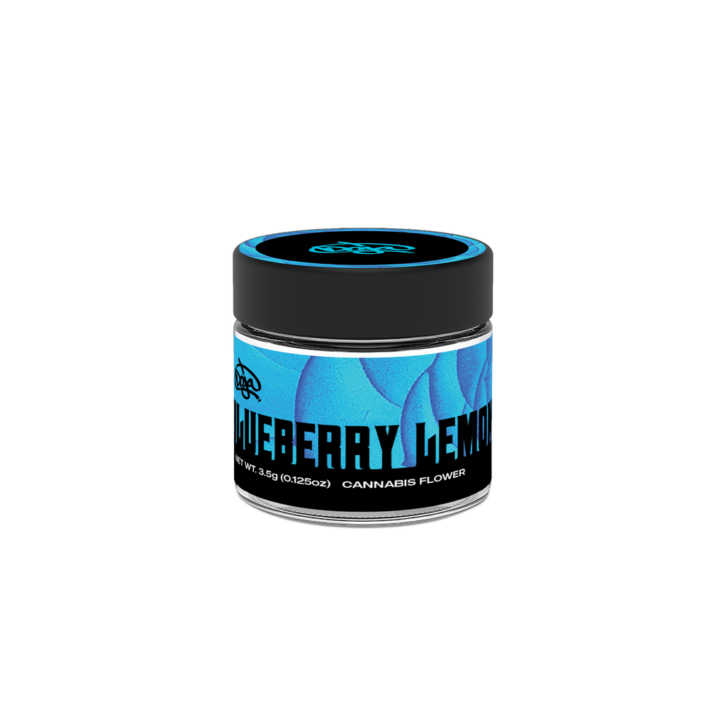 Blueberry Lemonade