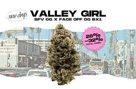 Valley Girls Legacy