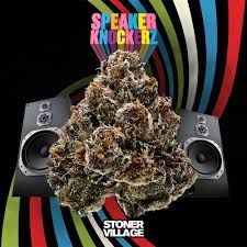 Speaker Knockerz Legacy