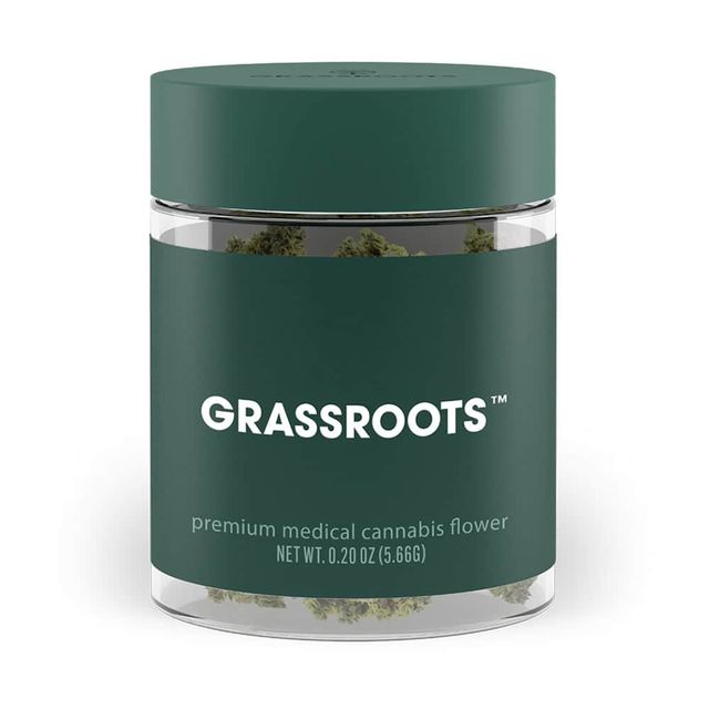 Baya Dulce Grassroots Baya Dulce Grassroots