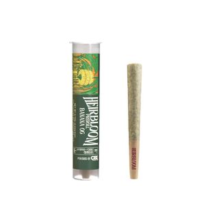 Banana OG Heirbloom