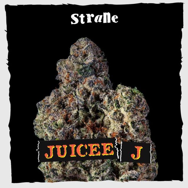 Juicee J Strane Juicee J Strane
