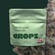 Watermelon Mint Crops Watermelon Mint Crops
