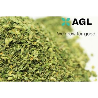 Grape Bubble G product