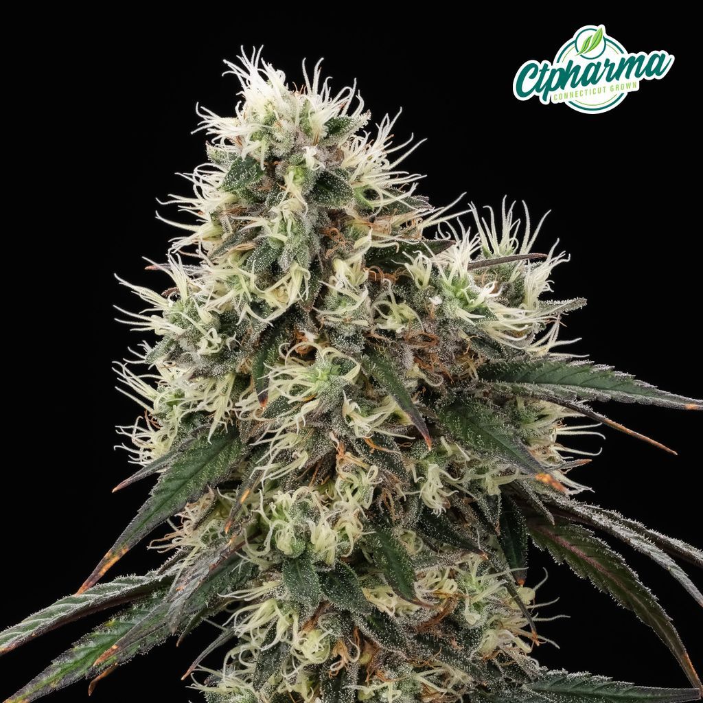 CTPharma Tropsanto Flower, 3.5g