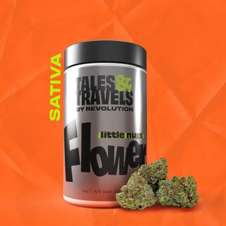 Frost Donkey BX1 Tales & Travels