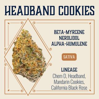 Headband Cookies  Elevate